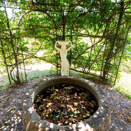 Casa Do Condado De Beiros São Pedro do Sul